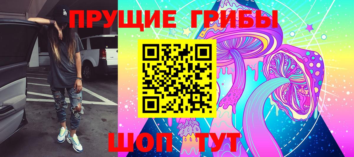Галлюциногенные грибы Psilocybine cubensis Невинномысск